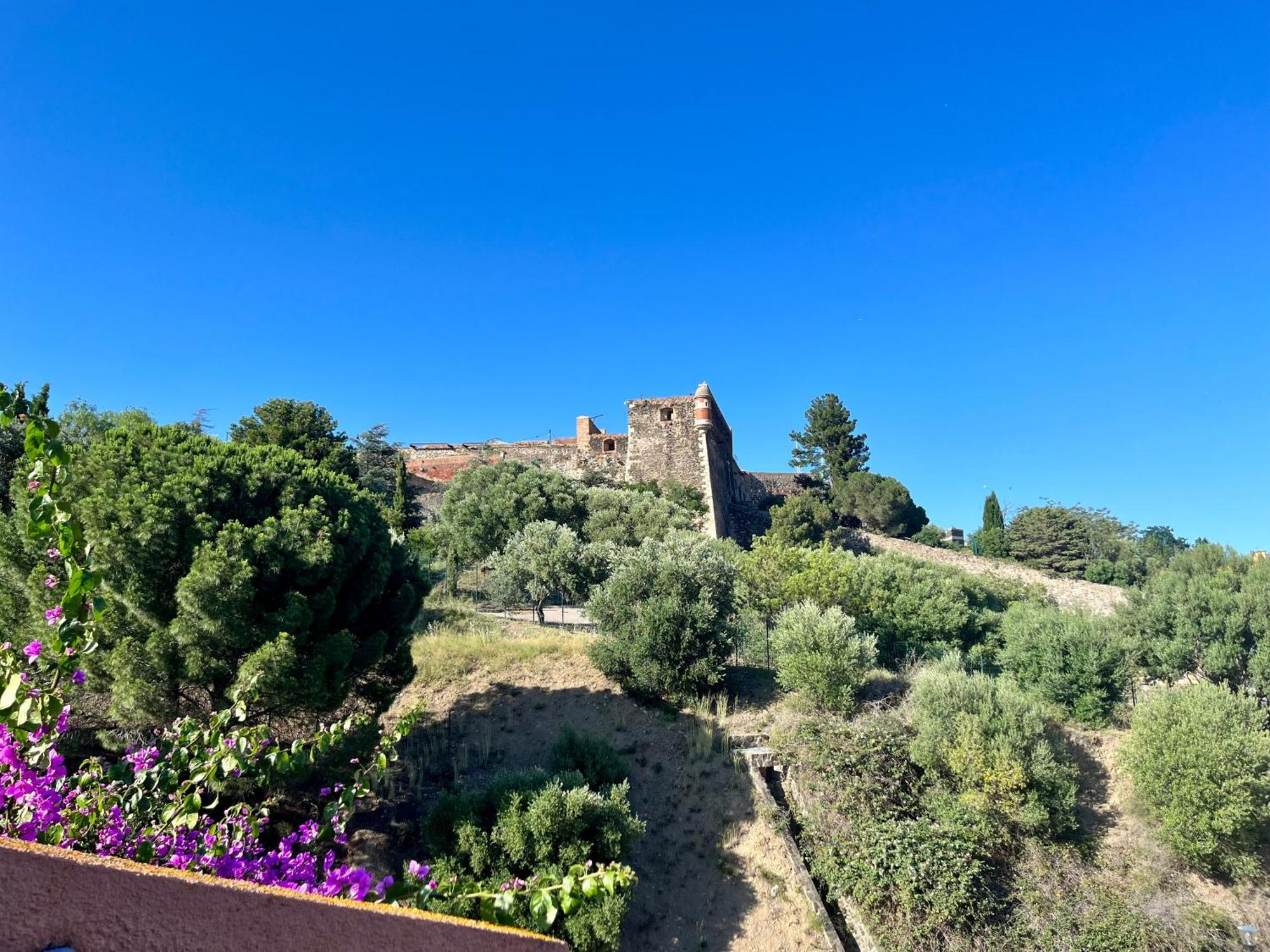 Appartement Collioure, Grande Terrasse Et Parking Kültér fotó