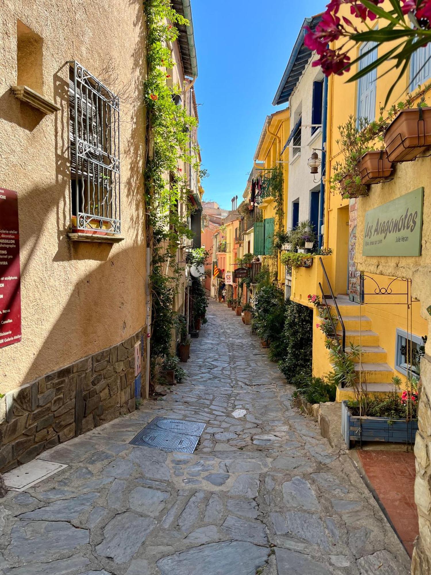 Appartement Collioure, Grande Terrasse Et Parking Kültér fotó